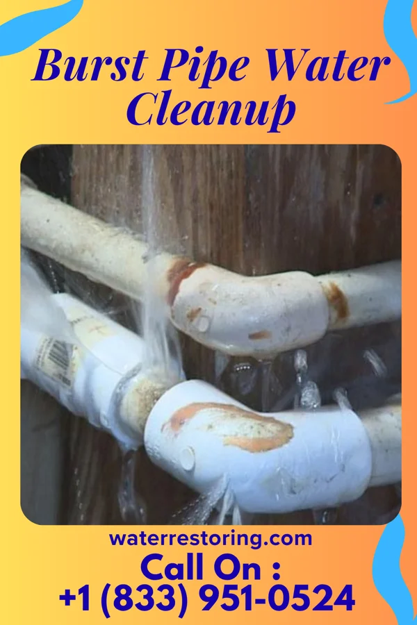 Burst Pipe Water Cleanup in Dearborn Heights, MI