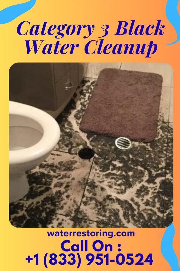 Category 3 Black Water Cleanup in Dearborn Heights, MI