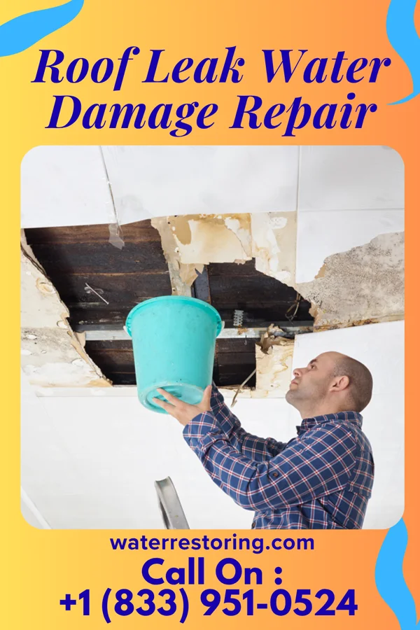 Roof Leak Water Damage Repair in Dearborn Heights, MI