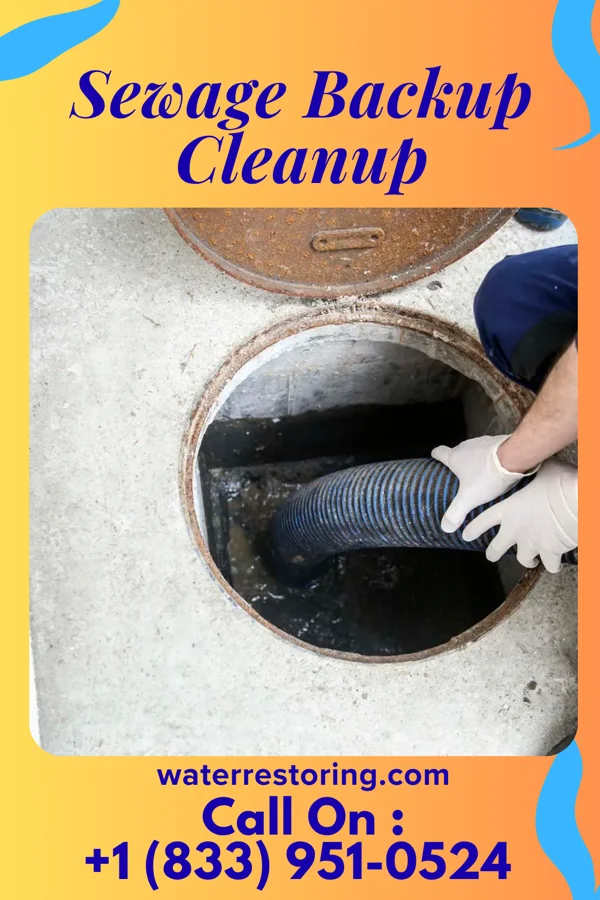Sewage Backup Cleanup in Dearborn Heights, MI