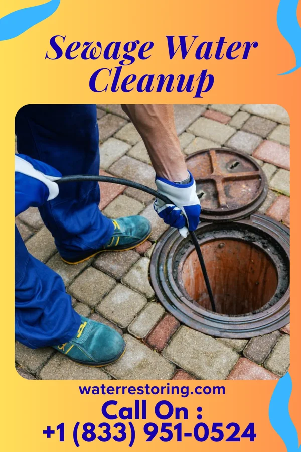 Sewage Water Cleanup in Dearborn Heights, MI