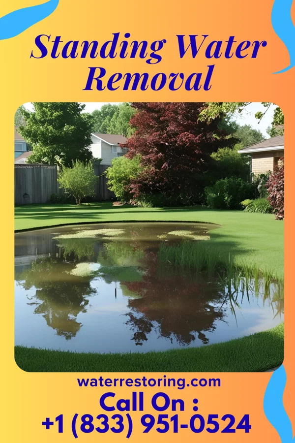 Standing Water Removal in Dearborn Heights, MI